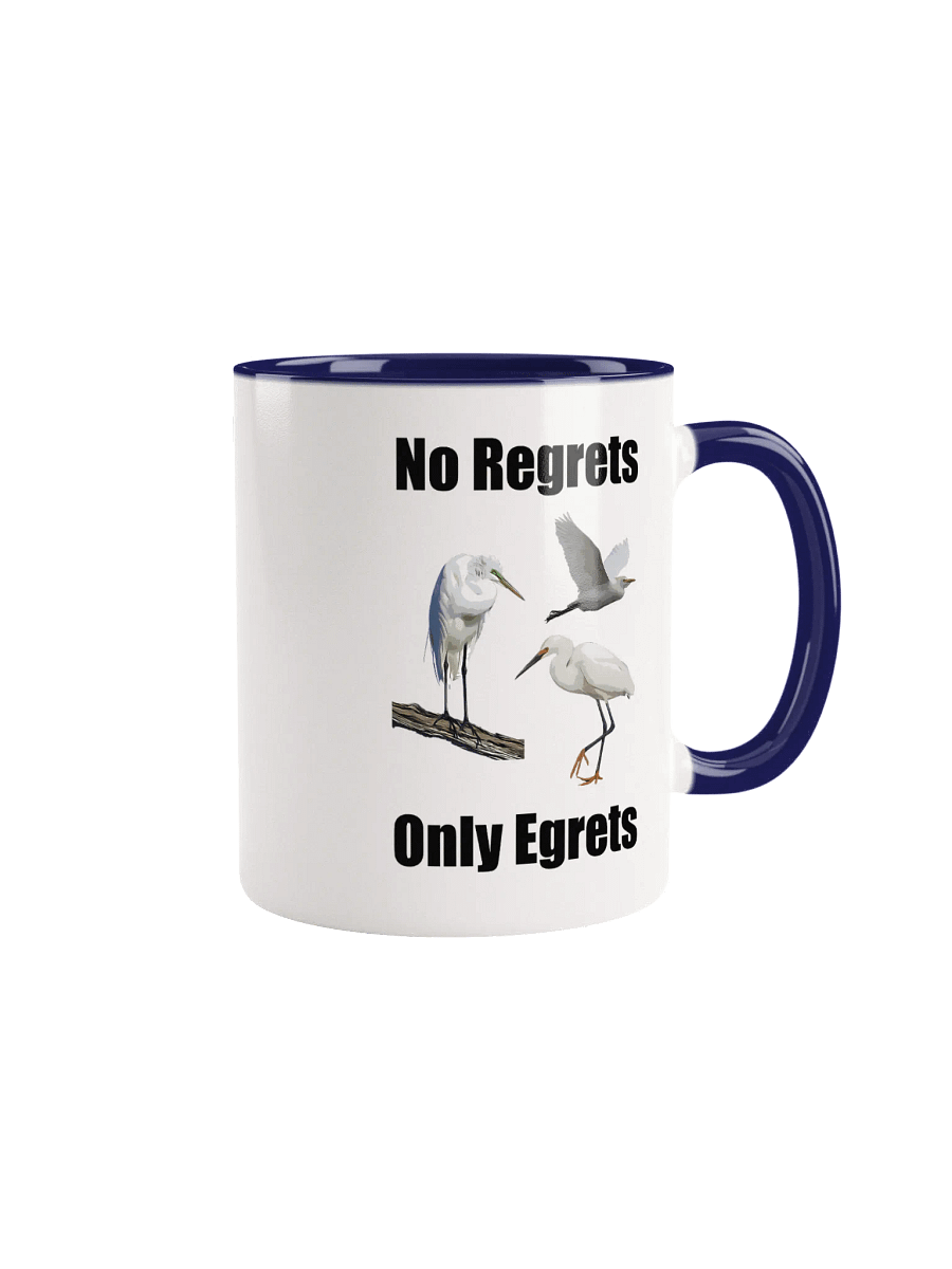 No Regrets Only Egrets Mug product image (1)