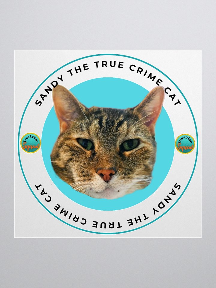 Sandy the True Crime Cat product image (1)