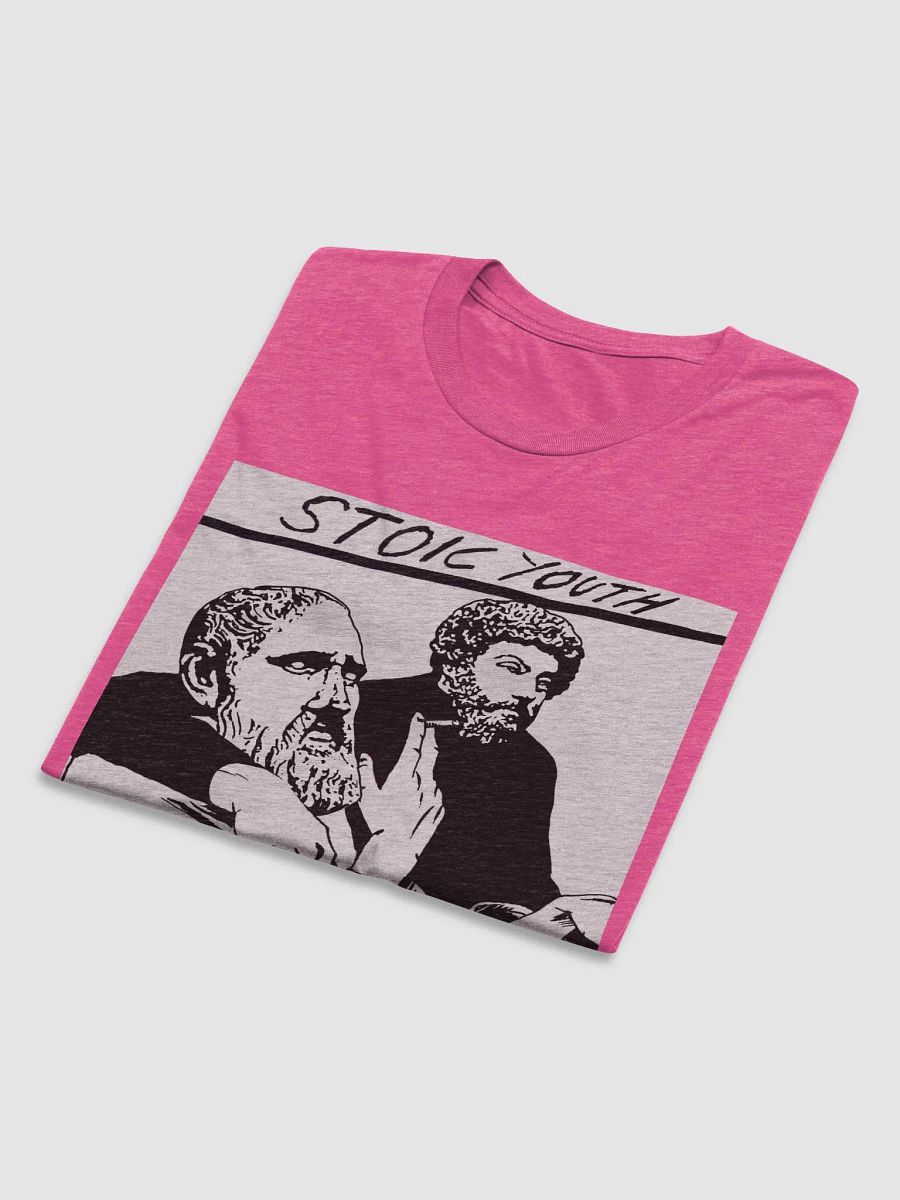 Stoic Youth Bella+Canvas Triblend Short Sleeve T-Shirt product image (6)