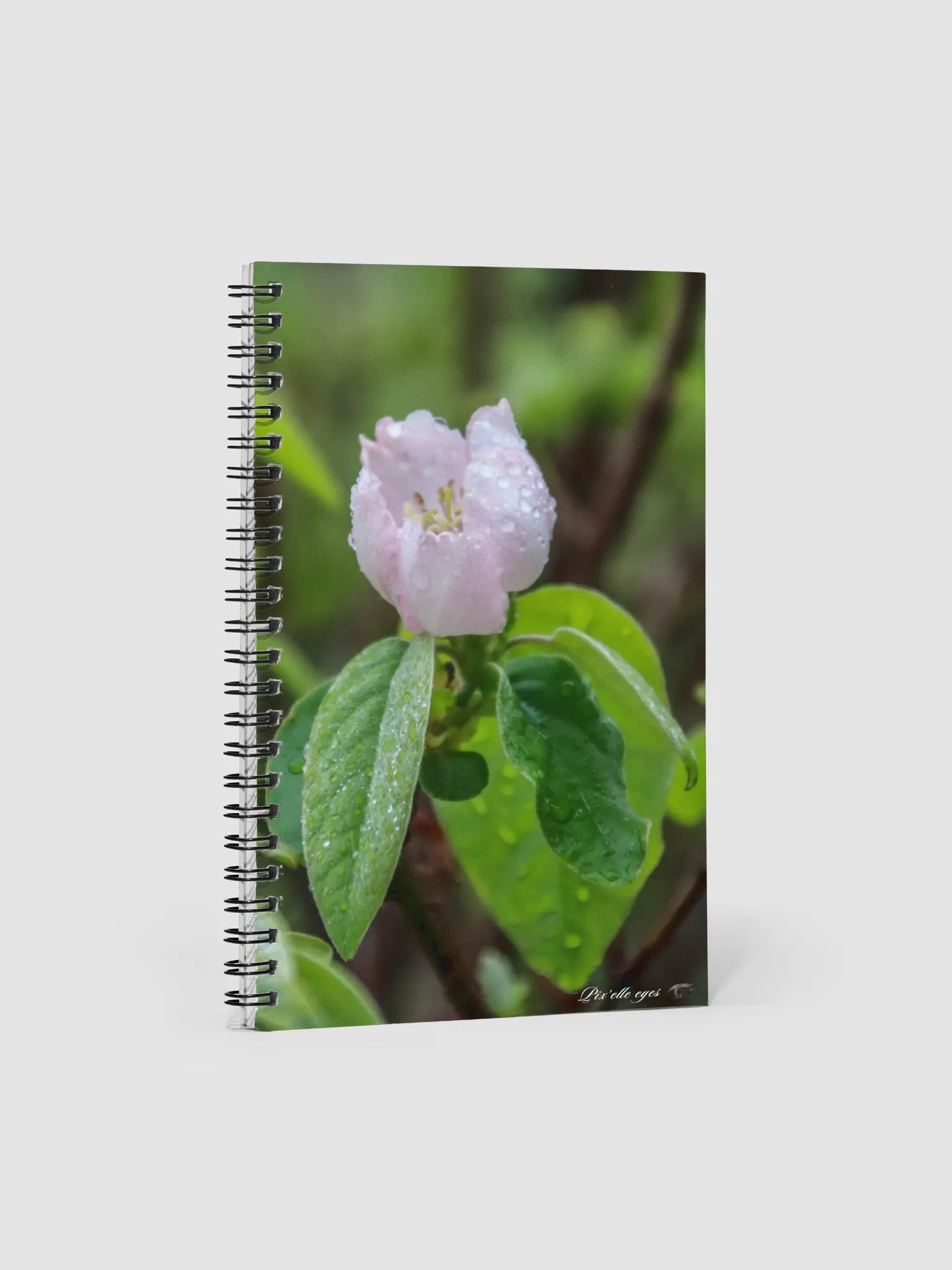 📘 Notebook Collection PURE – Jardin sous la pluie – Fleur de cognassier product image (1)