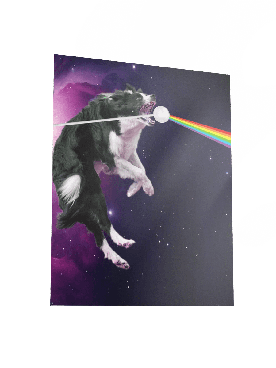 Border Collie Dark Side Of The Cosmos Poster product image (3)