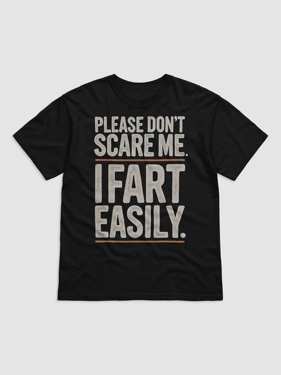 "Please Don't Scare Me. I Fart Easily" Humorous Heavyweight Tee - Black product image (1)