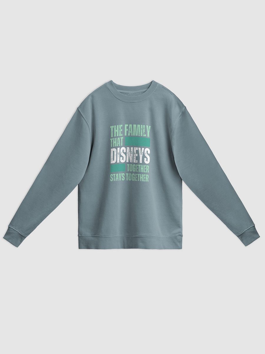 Disney World Family Midweight Pigment Dyed Sweatshirt product image (1)