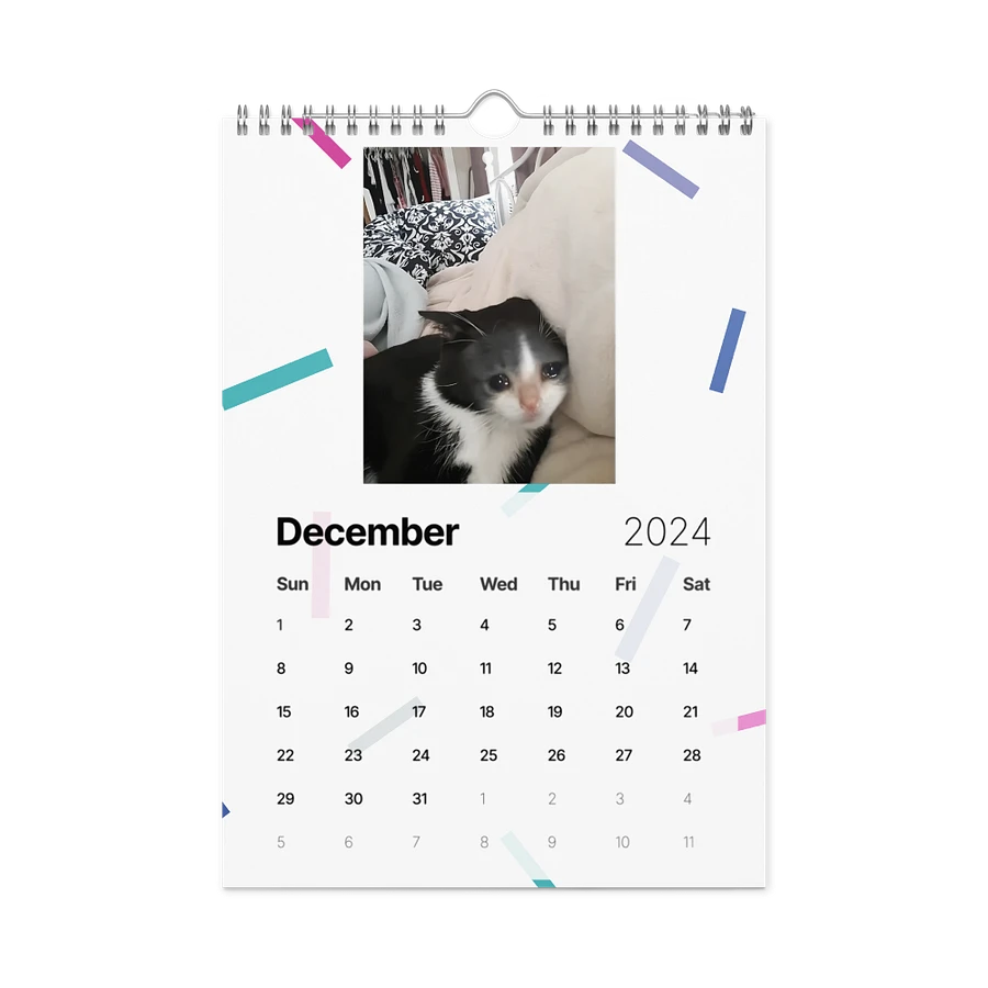 Wall Calendar (2024): Meme Cats product image (6)