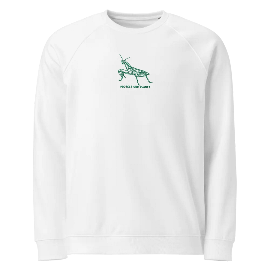 stitched earth day raglan sweatshirt product image (1)