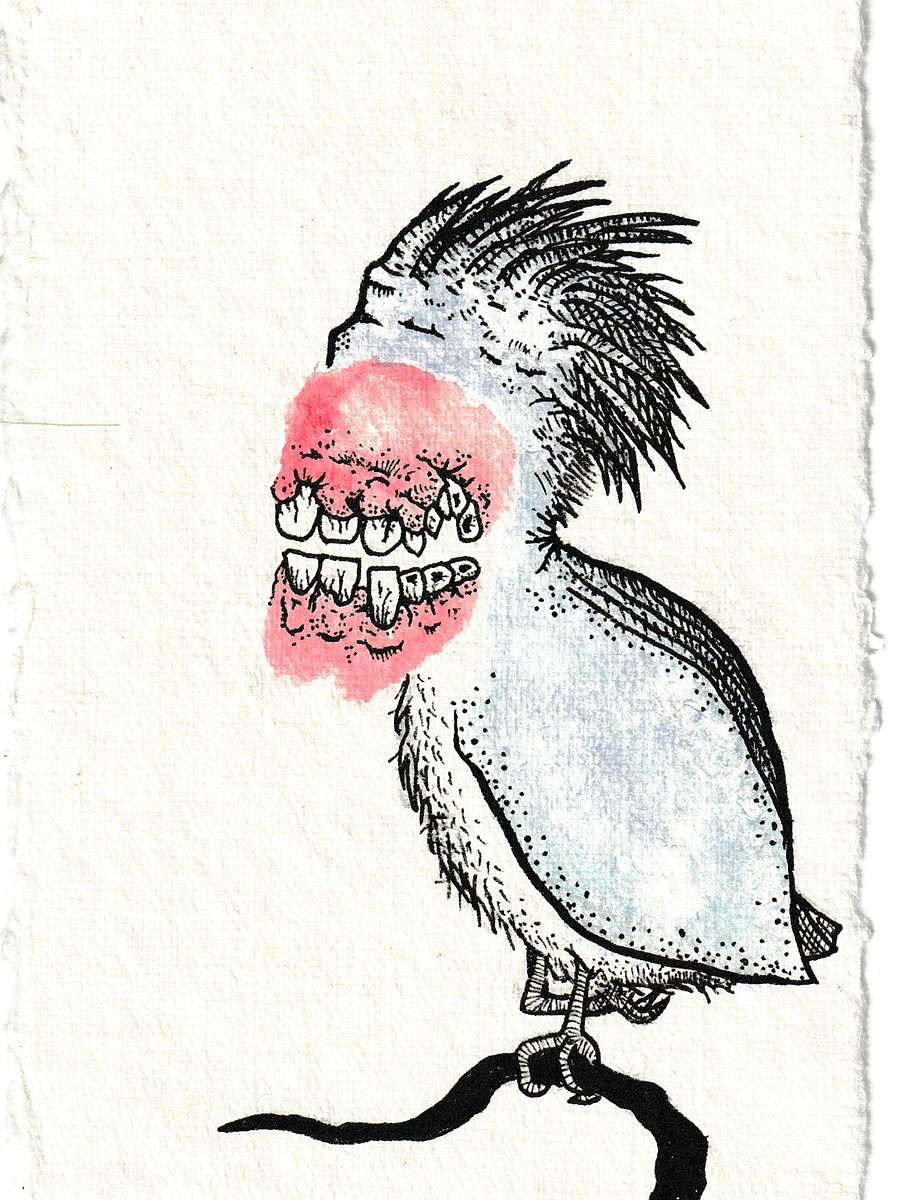 Californian Chatterbird [original art] product image (1)