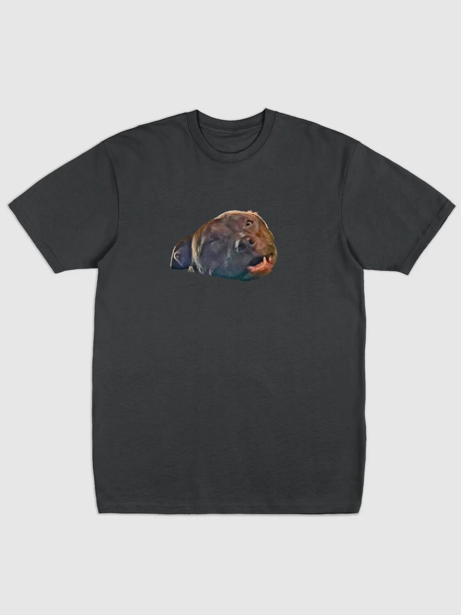 kane2 product image (1)