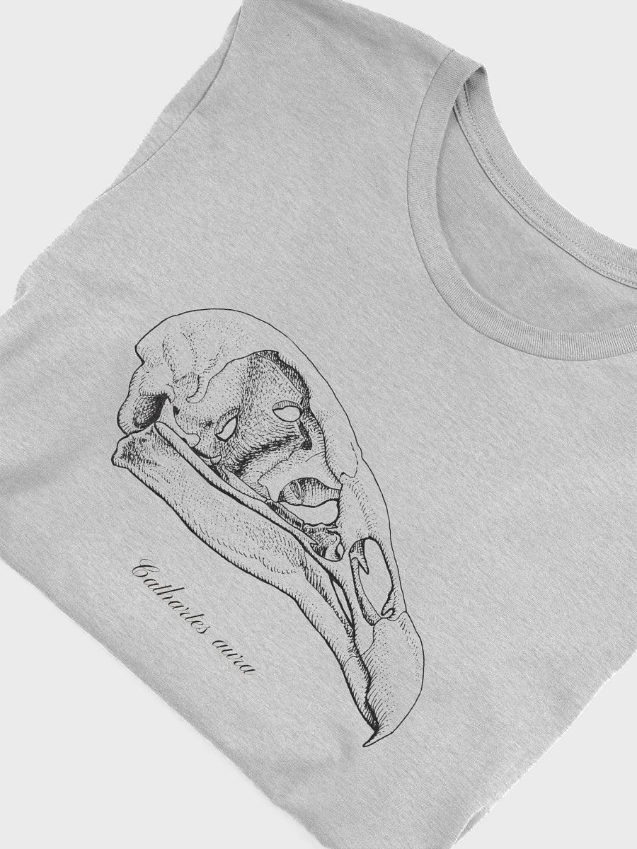 Turkey Vulture Skull product image (39)