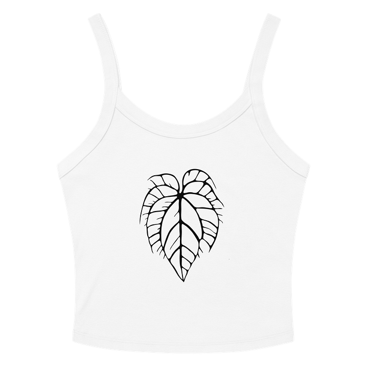 ANTHURIUM CRYSTALLINUM SKELETON - Mid-Length Tank product image (14)