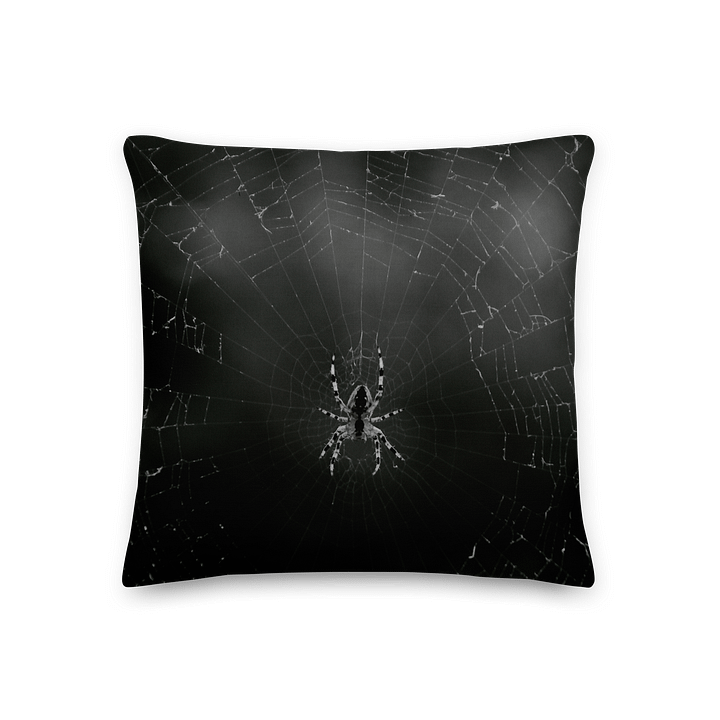 Premium-Kissen - Spinne im Netz schwarzweiß product image (1)
