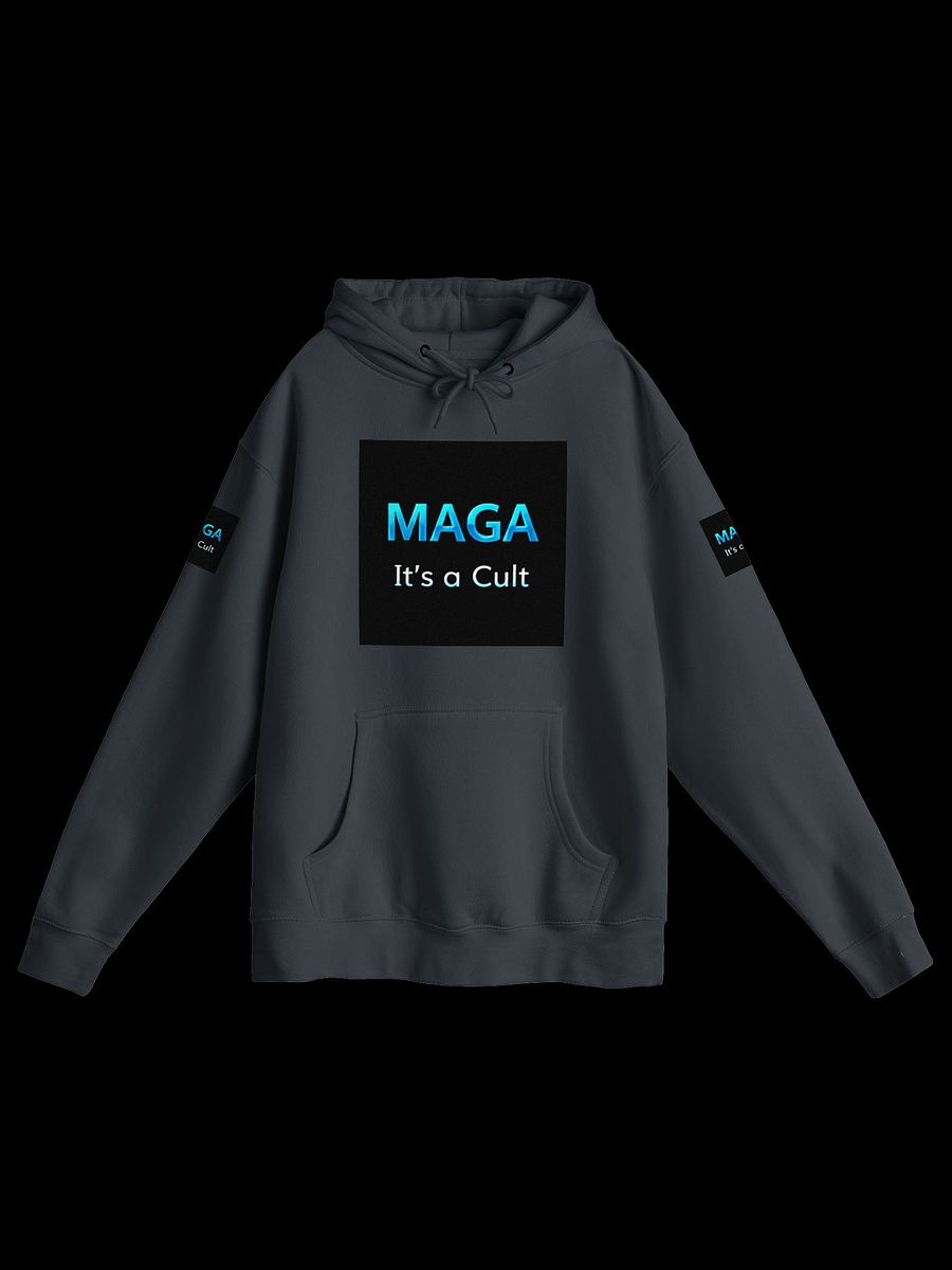 Anti MAGA Logo Hoodies - Women's product image (1)