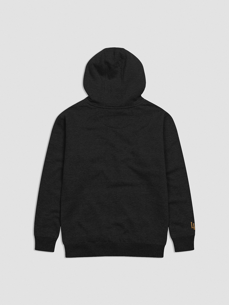 Golden Gloves Premium Hoodie product image (2)