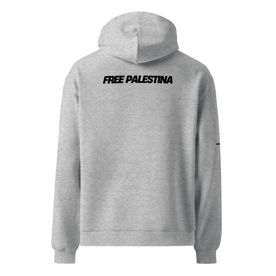 Palestinian Flag Balloon Unisex Hoodie product image (3)