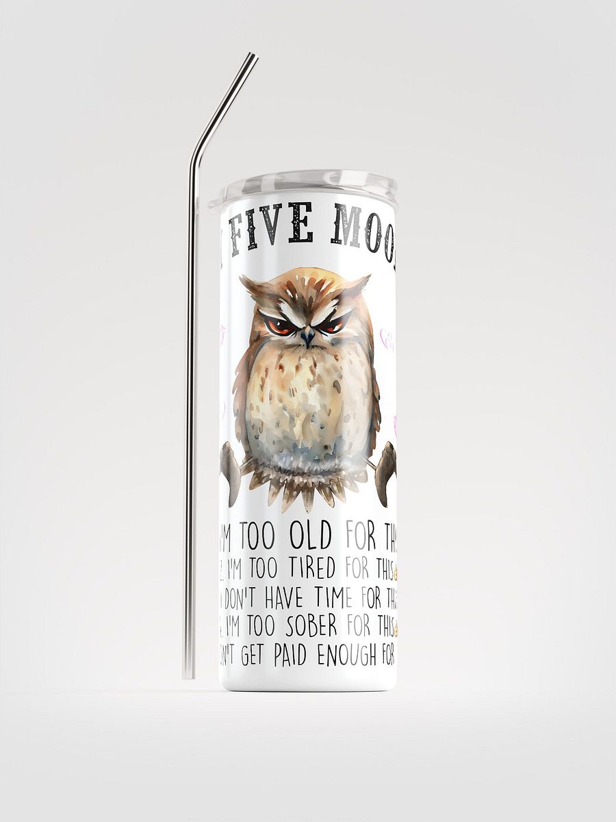 Whimsical Owl Stainless Steel Tumbler product image (1)