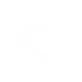 Team Silent