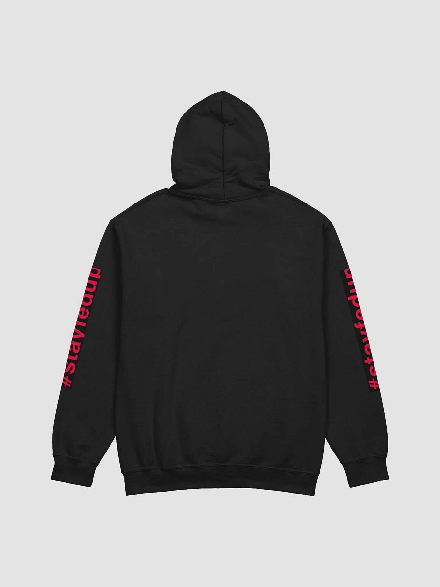 Federal Hoodie product image (2)