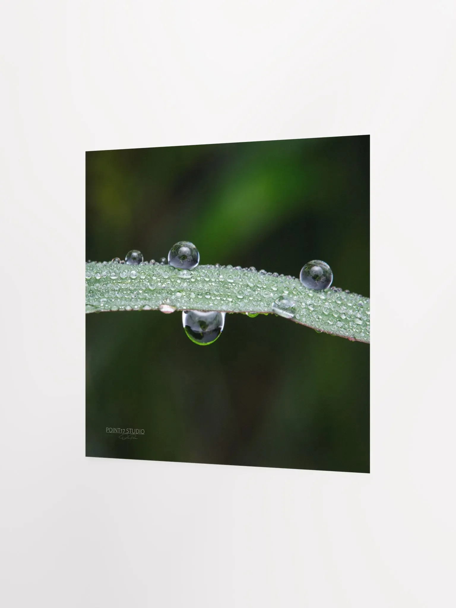 Dew Gems #7 - Print product image (5)
