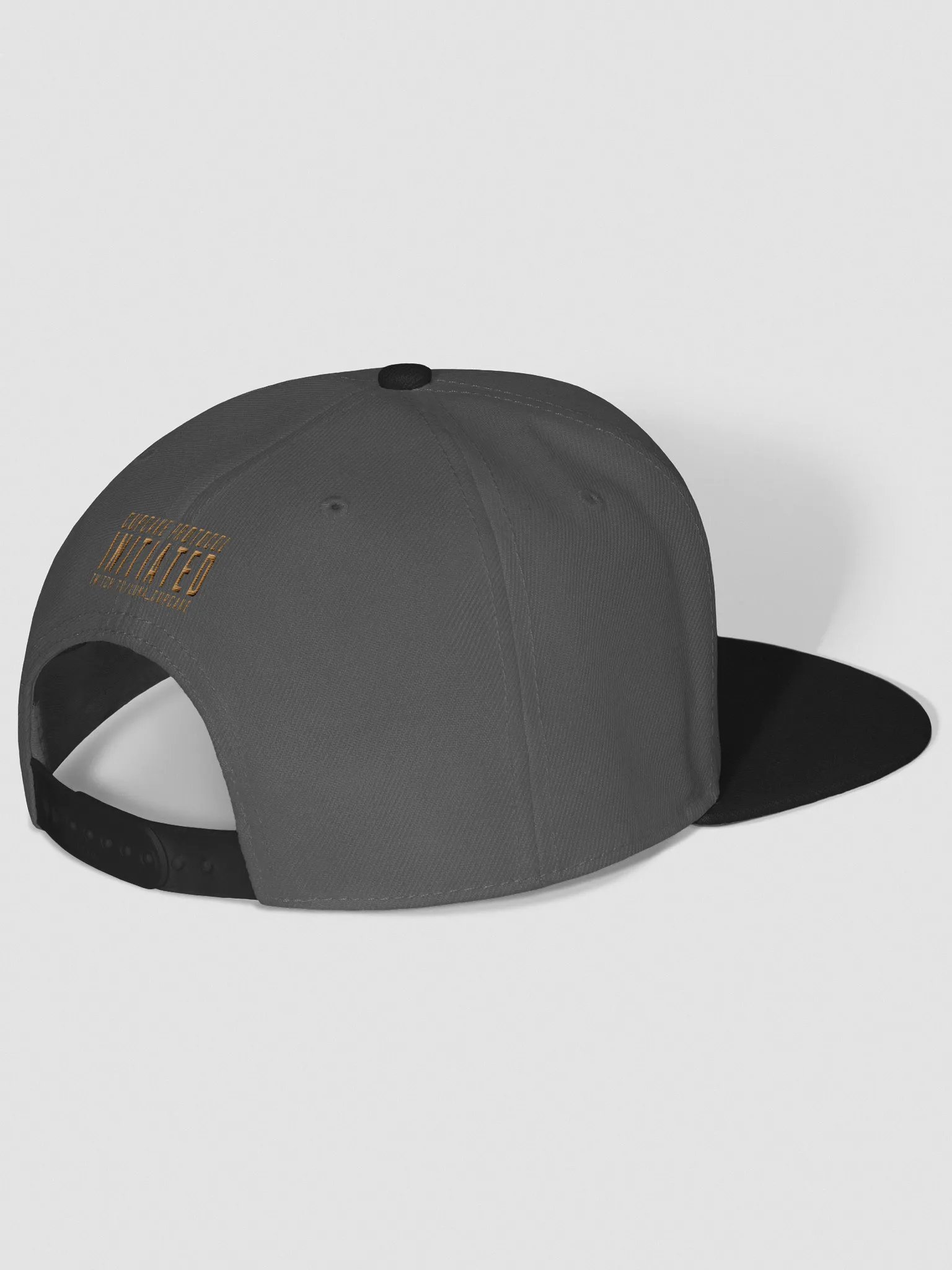 Initiate Style with Cupcake Protocol Snapback Cap product image (21)