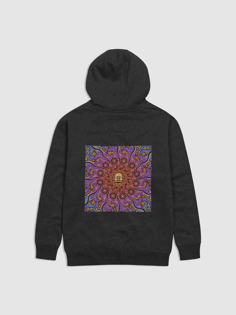 PTS Hoodie product image (2)