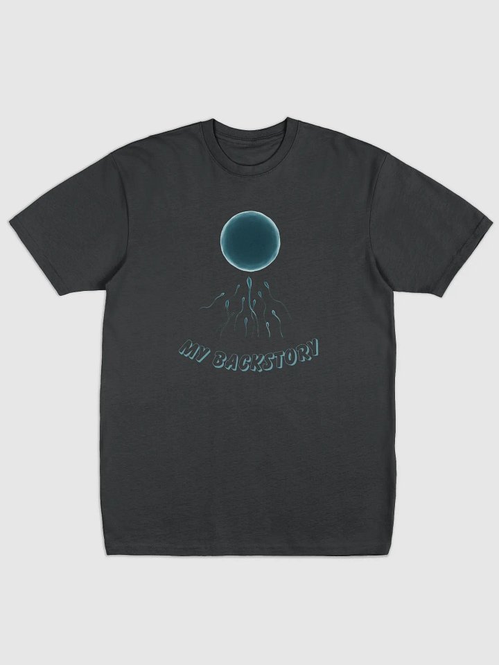 My Backstory Men's Premium Heavyweight Tee product image (1)