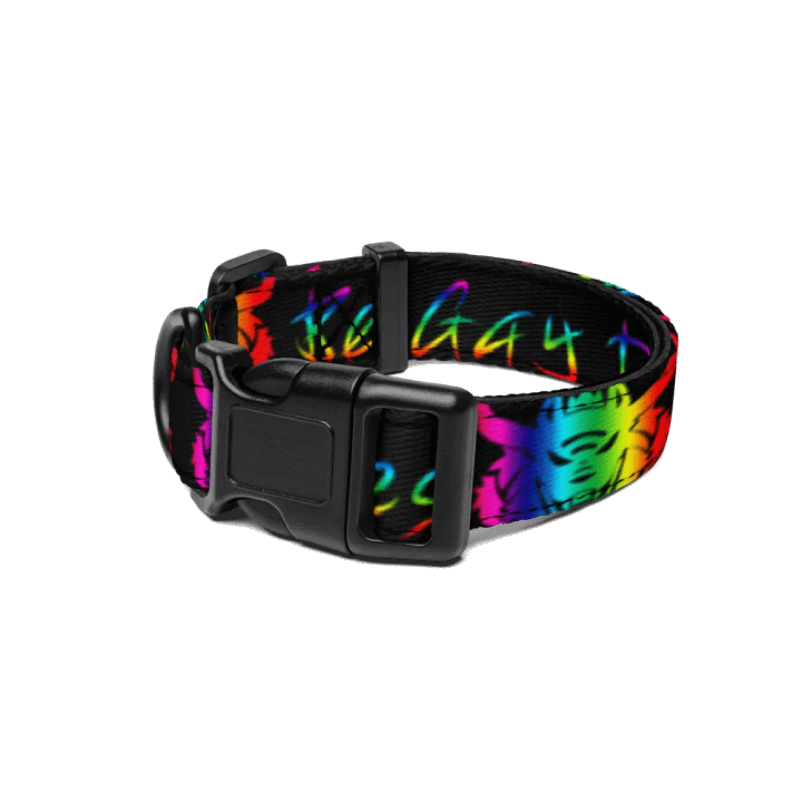 Be Gay Collar product image (1)