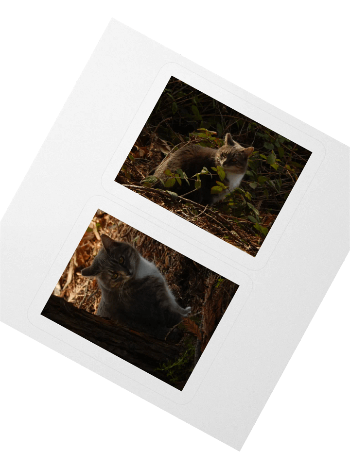 Forest Kitty - Sticker Sheet product image (2)