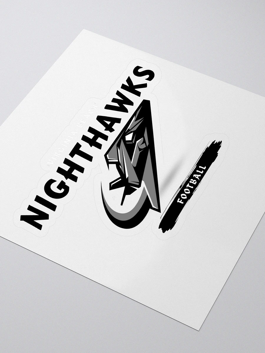 Virginia Beach Nighthawks Stickers product image (3)