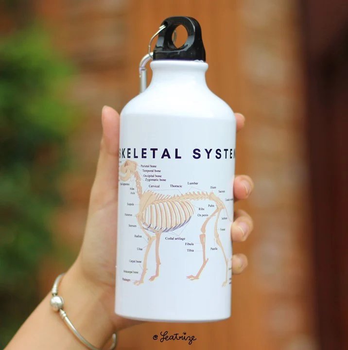 Canine Body System Sports Jug Set product image (4)