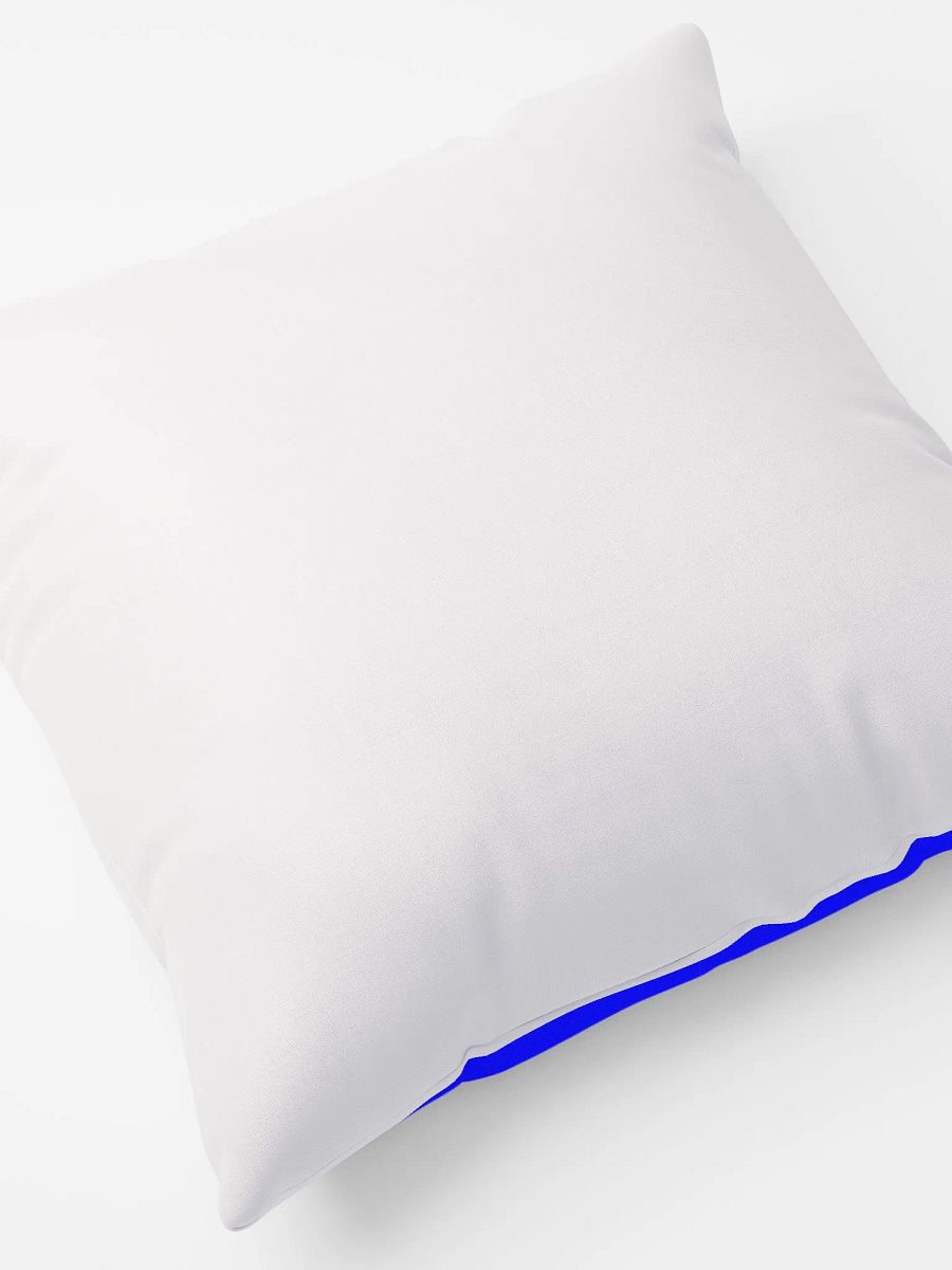 DIARRHEA MEGAN PILLOW product image (8)