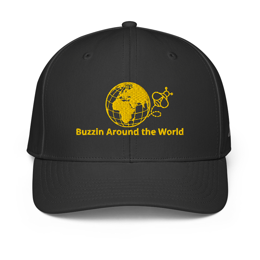 Buzzin Around the World Hat product image (2)