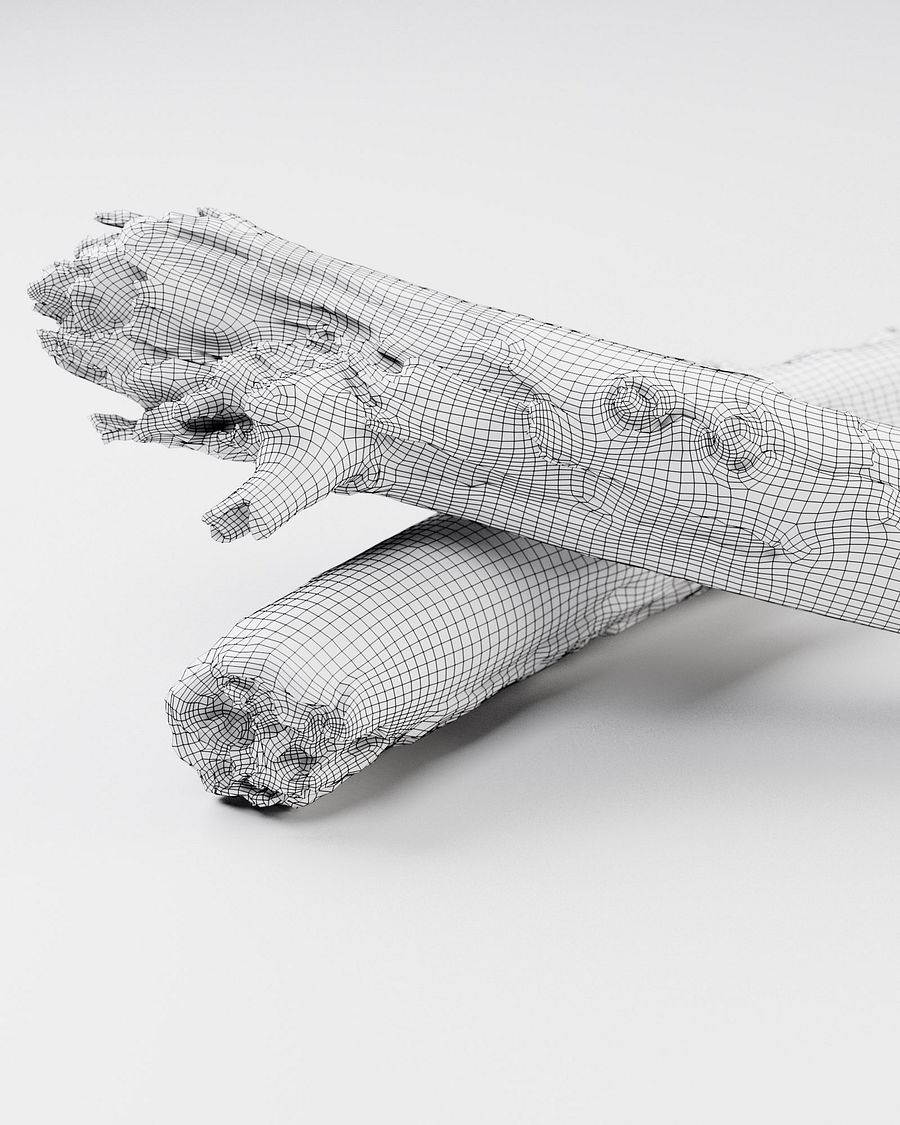 Wooden Stick 01 - 3D Scan product image (4)
