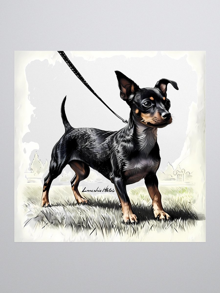 Lancashire Heeler Dog Art | Vintage-Style Portrait with Leash Detail product image (1)