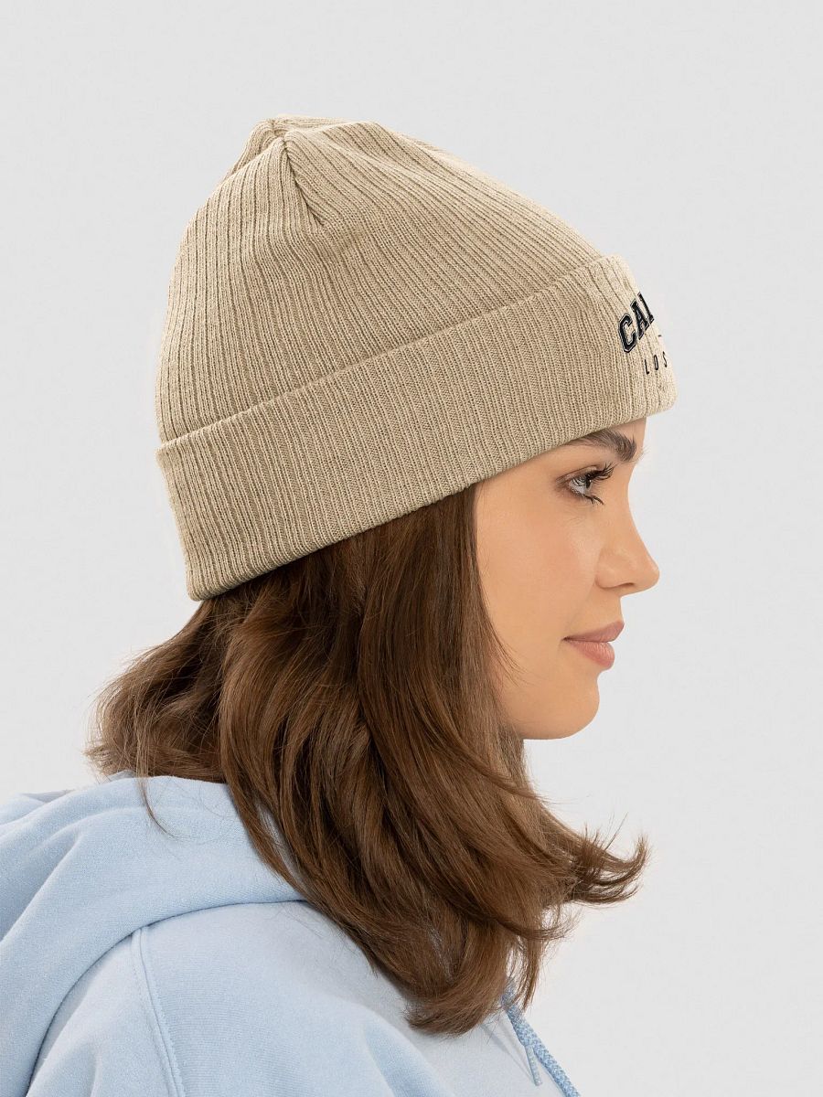 California | Los Angeles Ribbed Beanie product image (3)