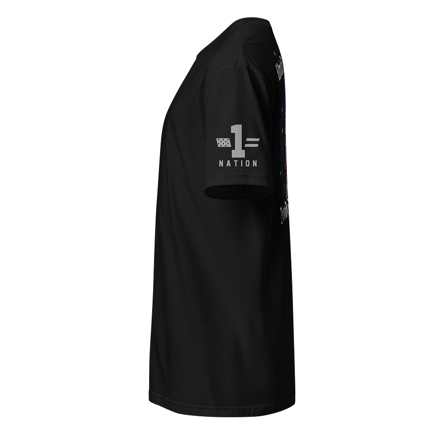 United We Stand, Divided We Fall product image (2)