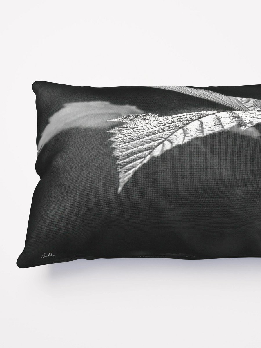 Lower Dungeness Trail Timber sun lighting Pillow product image (3)