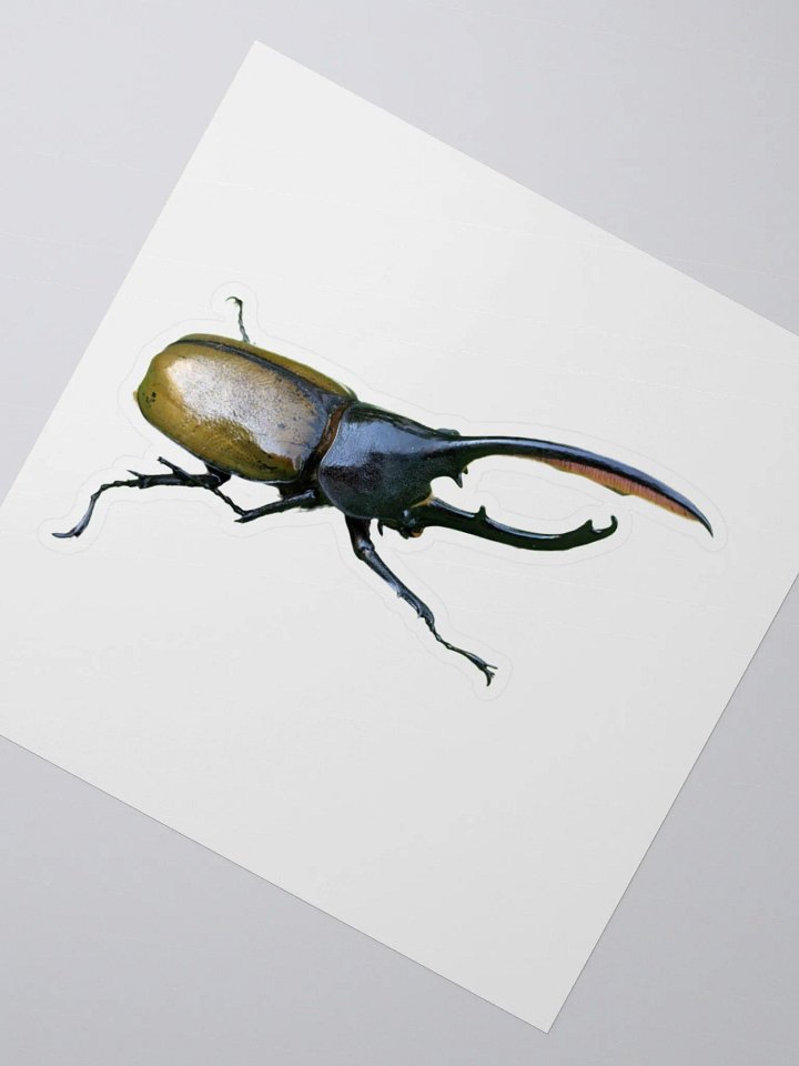 Rhinoceros Beetle Kiss Cut Stickers product image (6)