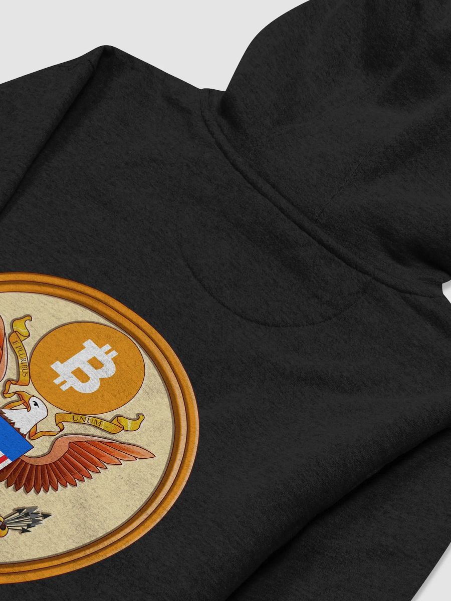 SBR Logo Hoodie product image (4)
