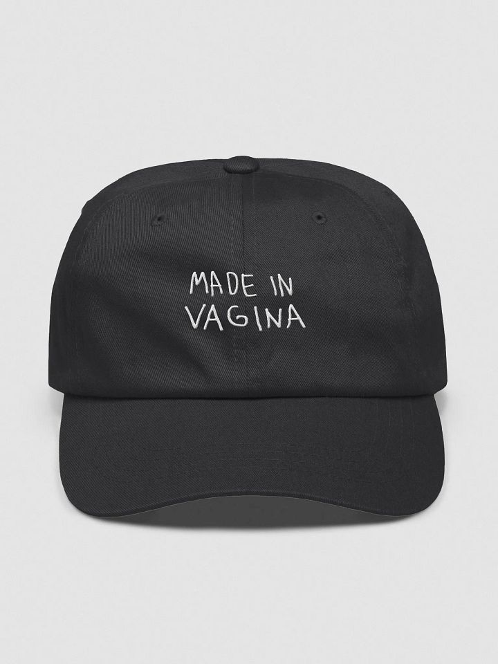 Made in Vagina product image (1)