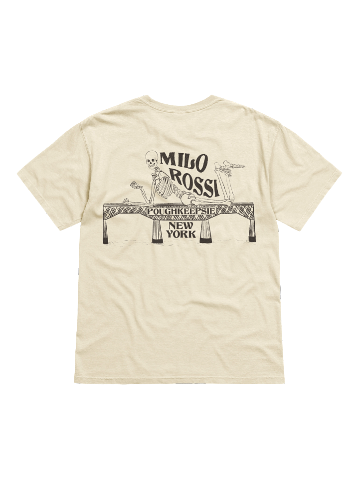Poughkeepsie New York product image (1)