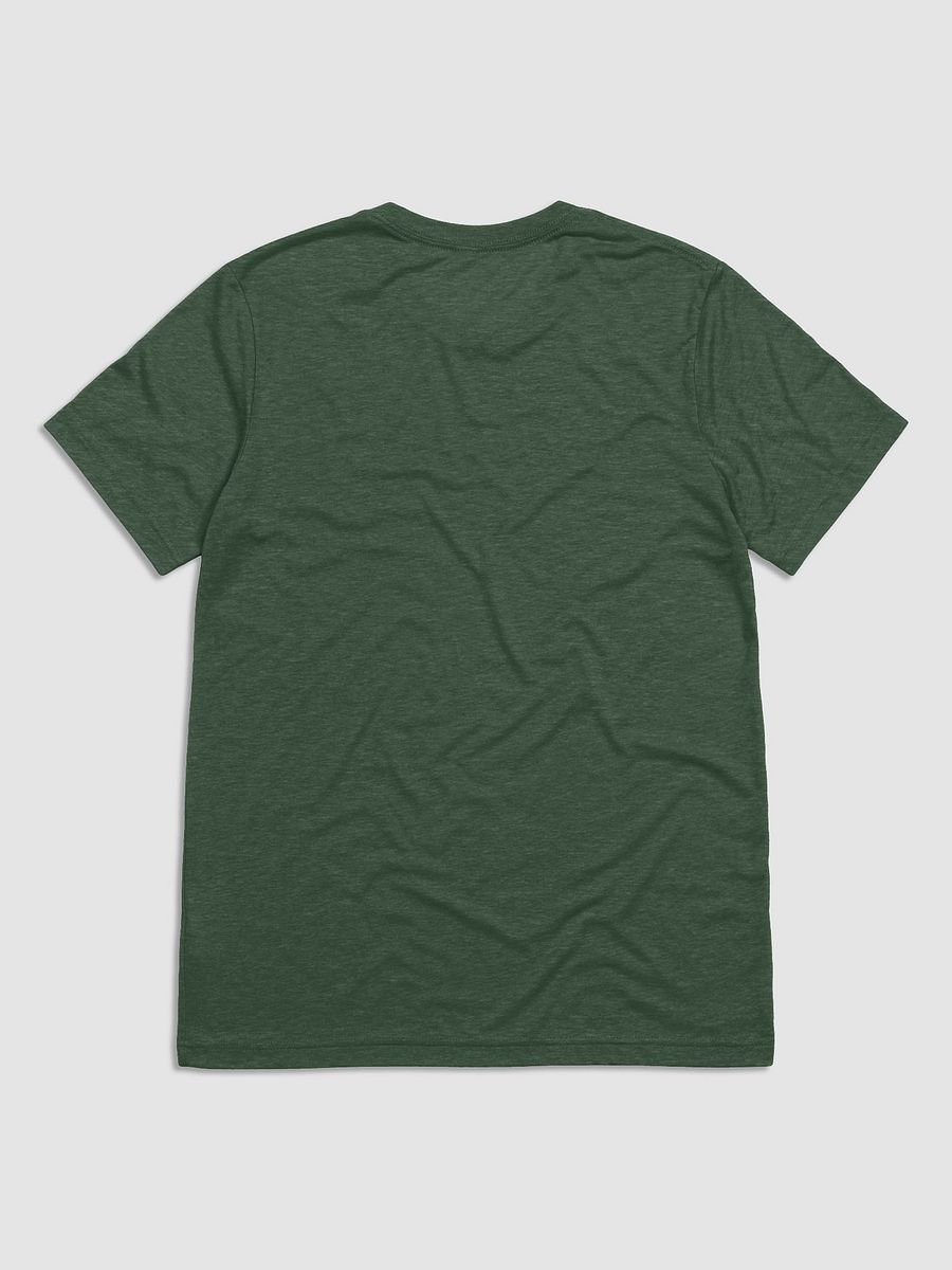 Dragon's Blaze Tri-Blend T-Shirt product image (5)
