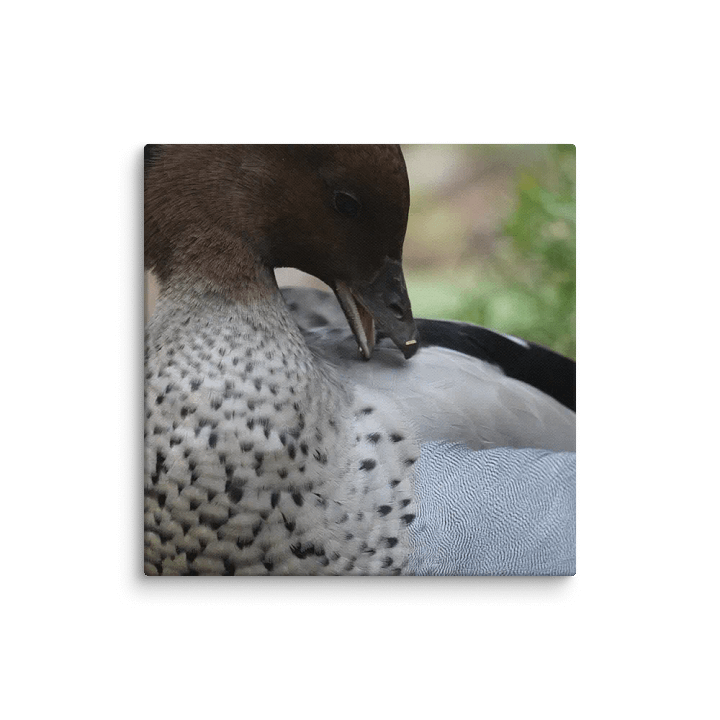 Duck on a Canvas product image (1)