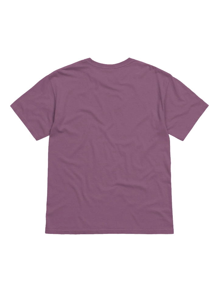 WMT PRODUCT OF PATIENCE Heavyweight T-shirt product image (2)