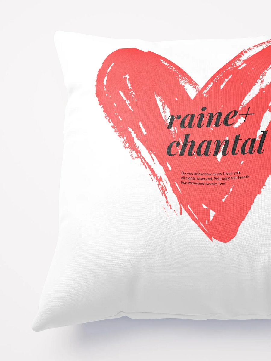 VDAY RAINE + CHANTAL SQUARE PILLOW product image (3)