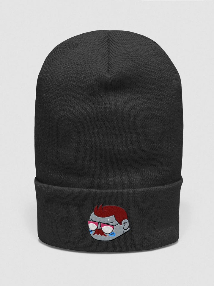 Alternate Pallete Beanie product image (7)