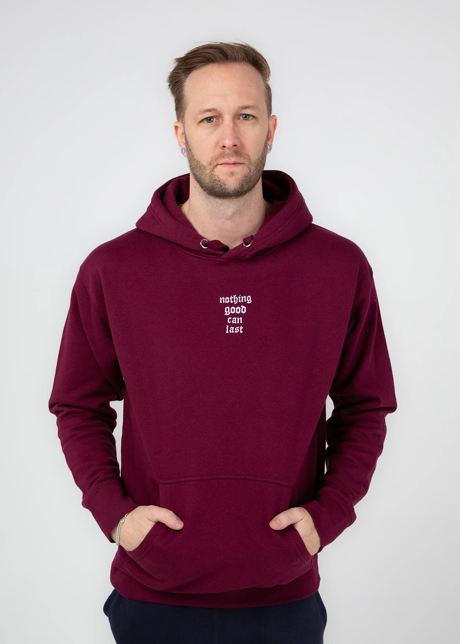 Nothing Good Can Last - Hoodie product image (18)