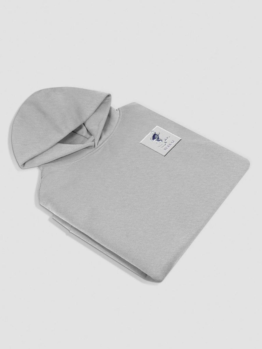 RUKKAZ EMBRODIER HOODIE product image (4)