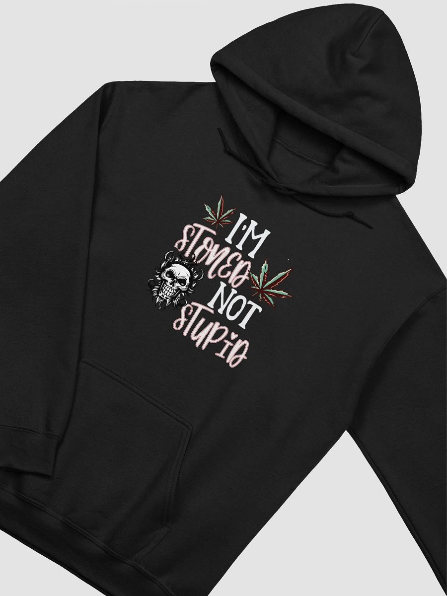 Stoned Not Stupid Hoodie product image (1)