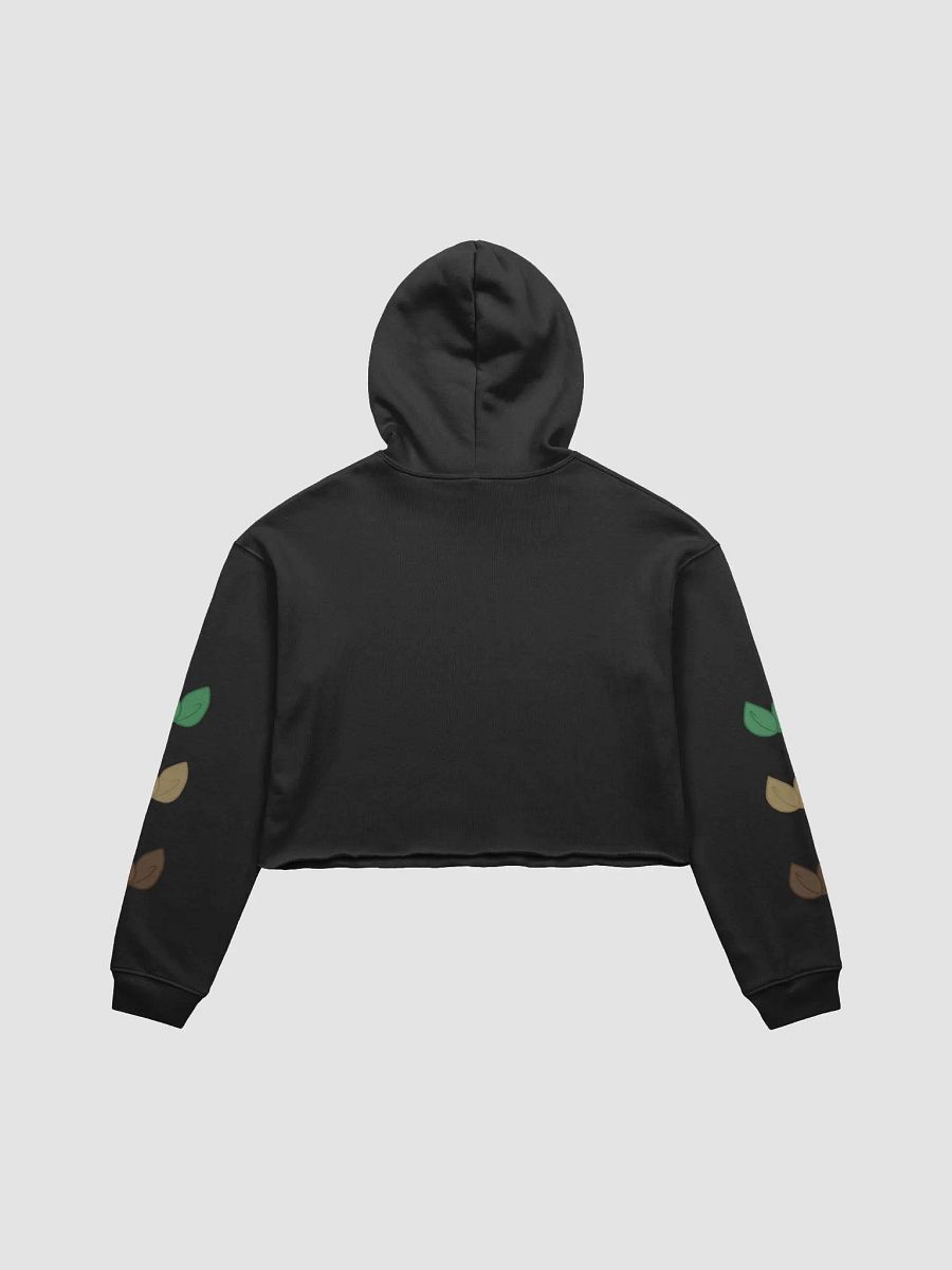 Leaf gradient cropped hoodie product image (4)