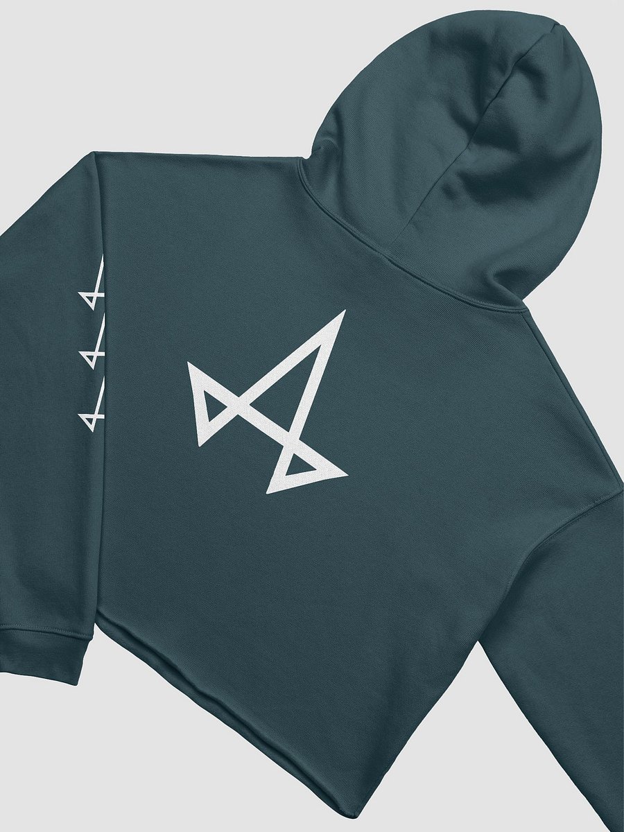 Female Arc Logo Crop Hoodie product image (4)