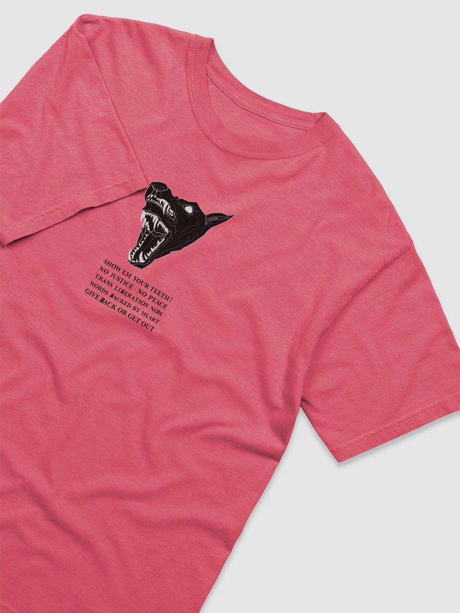 Show Em shirt 1 product image (3)